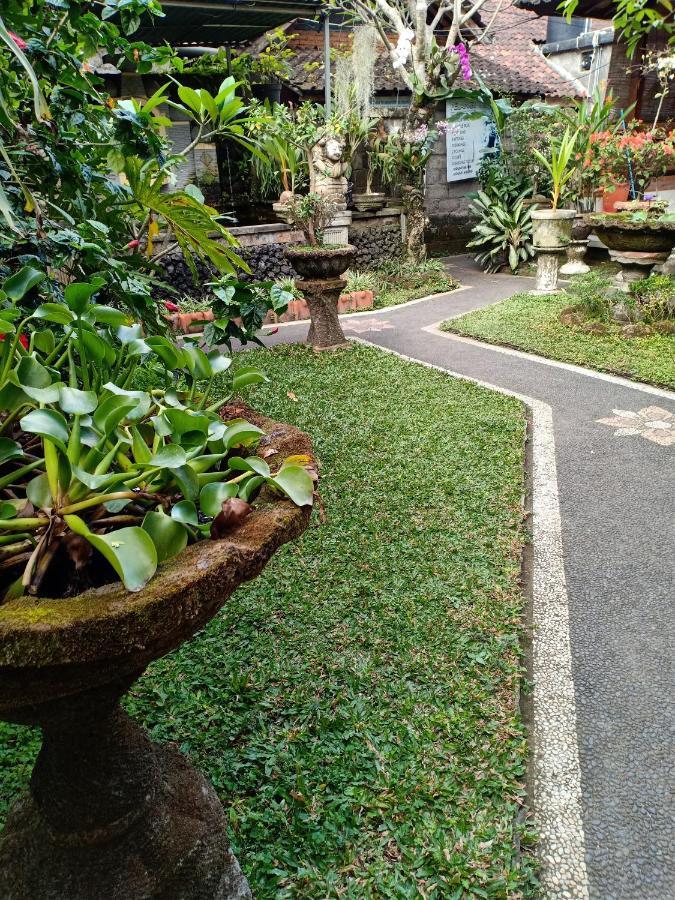 Degeg Ubud Homestay Zewnętrze zdjęcie